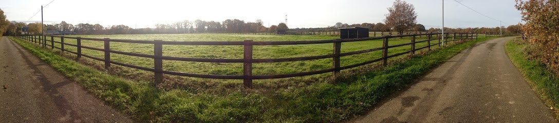 Haras Du Feu, Écurie,Elevage Et Pension Chevaux, Pension pour Chevaux à Plaudren