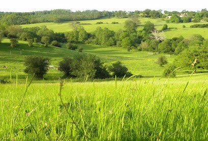 LA VALLEE DES CERFS, Centre Equestres à Luchapt