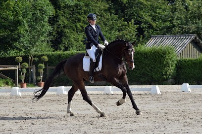 Ecuries Etangs, Centre Equestres à Oisy-le-Verger