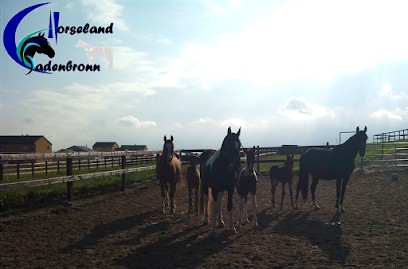 Horseland Cadenbronn, Centre Equestres à Nousseviller-Saint-Nabor