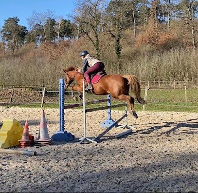 La Coulee Aux Chevaux, Centre Equestres à Faÿ-lès-Nemours