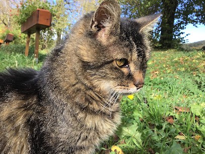 LE VERCORS A CHEVAL, Centre Equestres à La Chapelle-en-Vercors