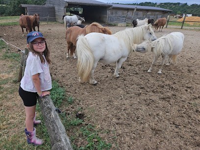 ECURIES DU CHATELIER, Centre Equestres à Missé
