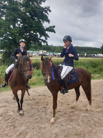 Stalls Du Mont D'auget, Centre Equestres au Mesnil-sur-Blangy