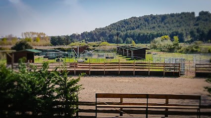 The Horse Farm, Pension pour Chevaux à Port-de-Bouc