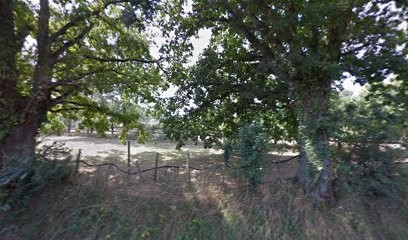 Potier Olivier, Centre Equestres à Saint-Philbert-de-Bouaine