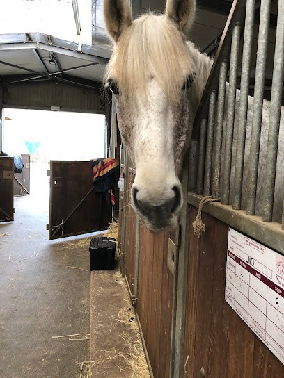 HARAS DE VALEME, Centre Equestres à Évreux