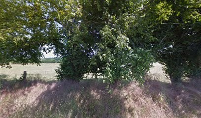 Pension paddock paradise, Pension pour Chevaux à Pontchardon