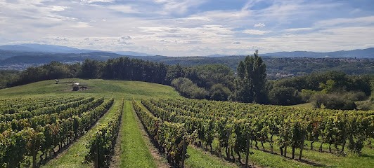 La Poneyterie, Centre Equestres à Millery