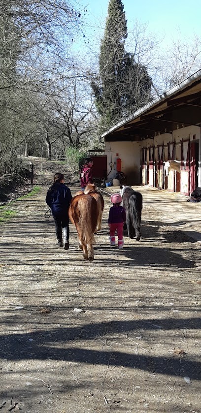Equestrian Club De Vigoulet, Centre Equestres à Vigoulet-Auzil