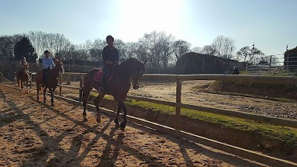 Haras De Villechetive Equestrian Center Riding Horse And Pony Pour Tous, Centre Equestres à Villechétive