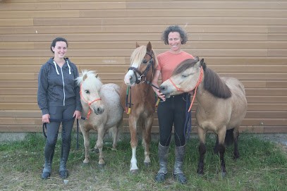 Ecurie Clv, Centre Equestres à Locoal-Mendon