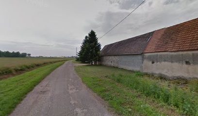 Bailly Thierry, Centre Equestres à Merceuil