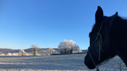 Haras Au Coeur Des Possibles, Centre Équestre à Luzy
