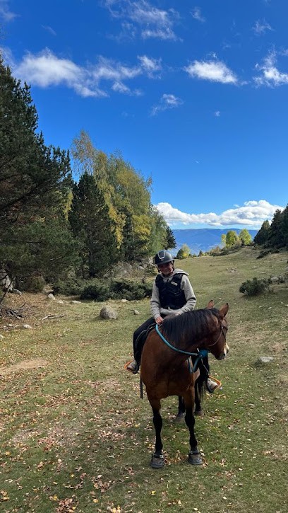 Nevada Mountain Paddock, Centre Equestres à Dorres