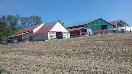 Equestrian Center Des Droops, Centre Equestres à Port-Jérôme-sur-Seine