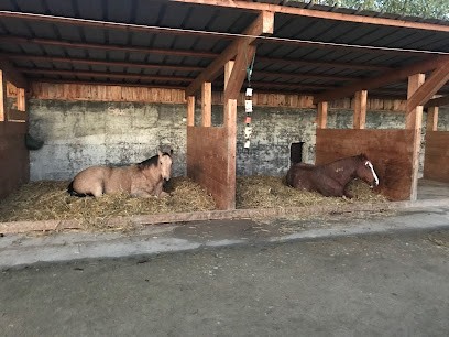 Ferme Stehlin Pension chevaux, Pension pour Chevaux à Raedersdorf
