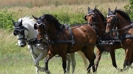 La Goufferie, Centre Equestres à Maillebois