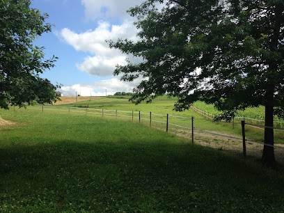 La pension du Bidouret, Pension pour Chevaux à Saint-Lon-les-Mines