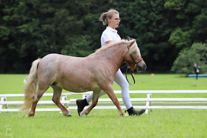 Poney Club Du Louve Centre Équestre à Pluvigner