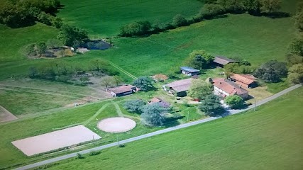 Haras De Peyras - Poney Club - Parisot 81310, Centre Equestres à Parisot