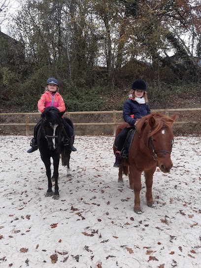 LES ECURIES DES USSES, Pension pour Chevaux à Cernex