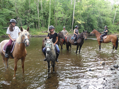 Les Poneys D Moissons Centre Équestre à Saint-Agoulin