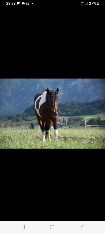 Equi-Vie Diois, Centre Equestres à Menglon