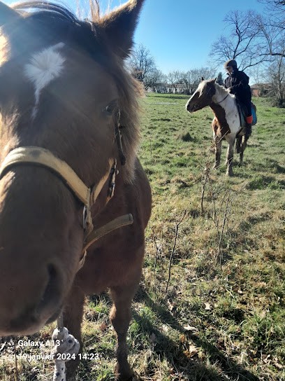 La Fleur De Selle, Centre Equestres à Semussac