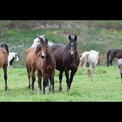 Les Ecuries De La Prade, Pension pour Chevaux à Corrèze