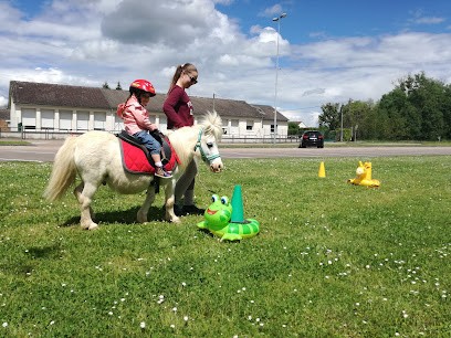 FERME EQUESTRE DE PESTEAU, Centre Equestres à Merry-Sec