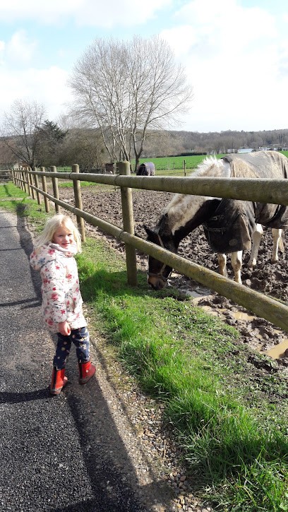 Écuries Du Gros Chêne - Loize Xavier, Pension pour Chevaux à Beauvais