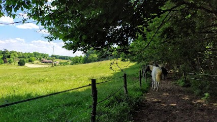 PERIG'HORSES Pension pour chevaux et gardiennage d'animaux à domicile, Pension pour Chevaux à Saint-Michel-de-Villadeix