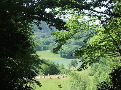 Wilhelm Meister Hof, Centre Equestres à Belvoir