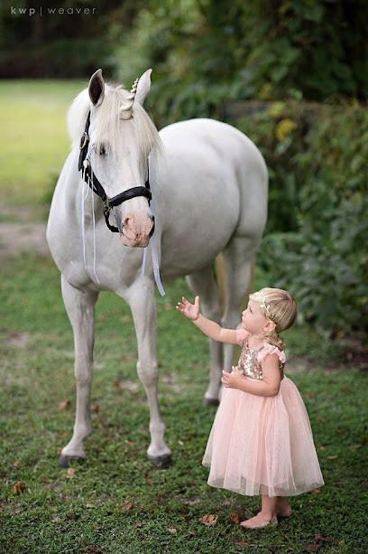 Chasse Au Trésor à Dos De Poney Lac D'Aiguebelette, Centre Equestres à Saint-Alban-de-Montbel