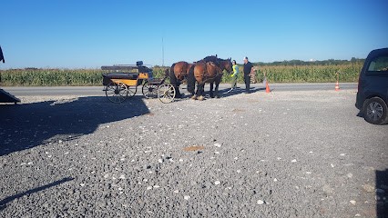 Ecurie Ma Boheme, Centre Equestres à Marolles-sur-Seine