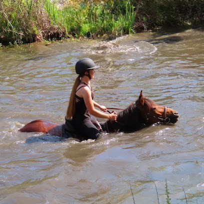 Equestrian Center Chateau Laval 04800 Gréoux Les Bains, Centre Equestres à Gréoux-les-Bains