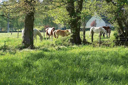 Ecuries De La Justiere, Pension pour Chevaux à Chanteloup