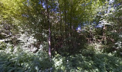 Swiss Mountain Ranch, Centre Equestres à Ternuay-Melay-et-Saint-Hilaire