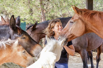 Poil De Parole, Centre Equestres aux Matelles