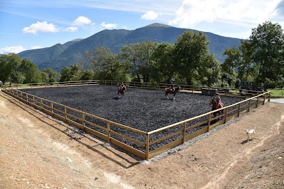 ALPAQUIER Pension pour chevaux et élevage d'alpagas Isère 38, Pension pour Chevaux à Saint-Martin-de-la-Cluze