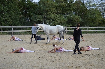 Les Poneys Mômes Hélène, Centre Equestres à Gironde-sur-Dropt