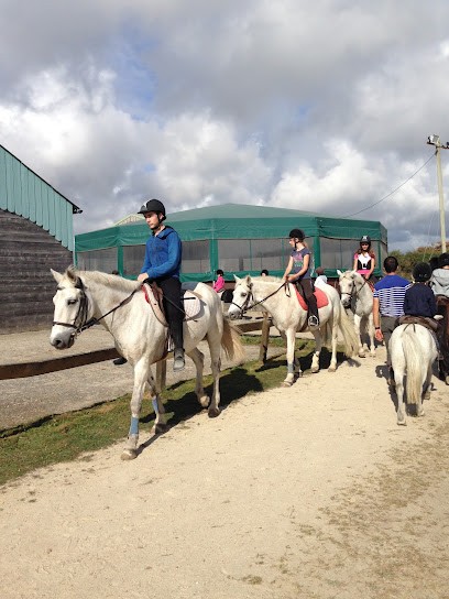 Kerguélen Equitation, Centre Equestres à Larmor-Plage