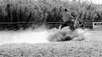 JC Ranch, Centre Equestres à Graveson