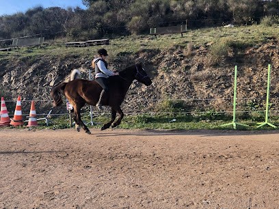 Ecurie Garrigues, Centre Equestres à La Livinière