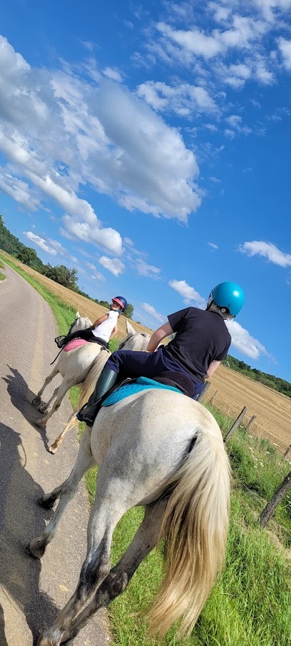 Centre équestre Du Vent Dans Les Chevaux, Centre Equestres à Senailly