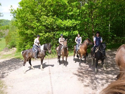 Relais équestre du Neufeld, Centre Equestres à Adamswiller