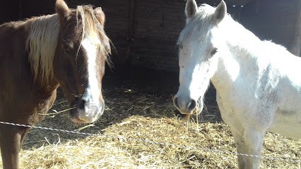 GOUTARENDE VILLAGE DU CHEVAL, Centre Equestres à Cuxac-Cabardès