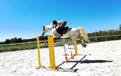 Haras De La Tuilière, Centre Equestres à Cucuron