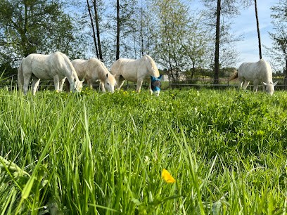 Écurie Des Crins Blancs, Centre Equestres à Soultz-sous-Forêts